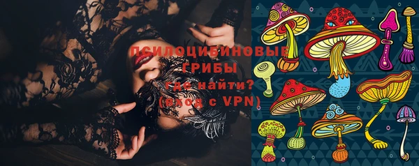 тгк Корсаков