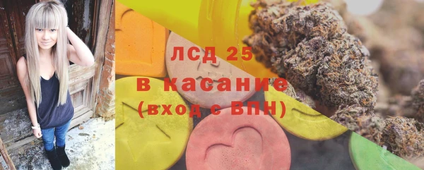 PSILOCYBIN Костерёво