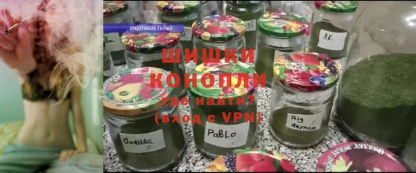 PSILOCYBIN Костерёво