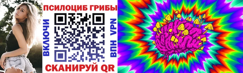 Купить где  Эртиль  Псилоцибиновые грибы Psilocybe 
